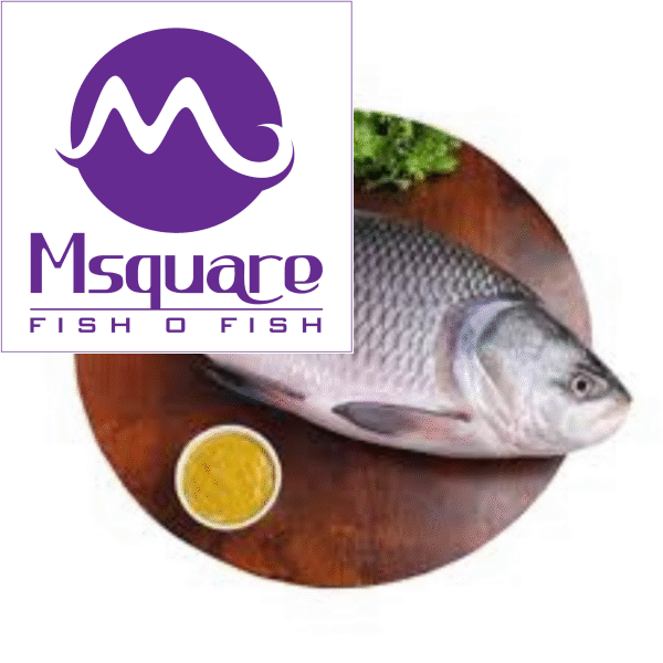 Catla (கெண்டை மீன்)