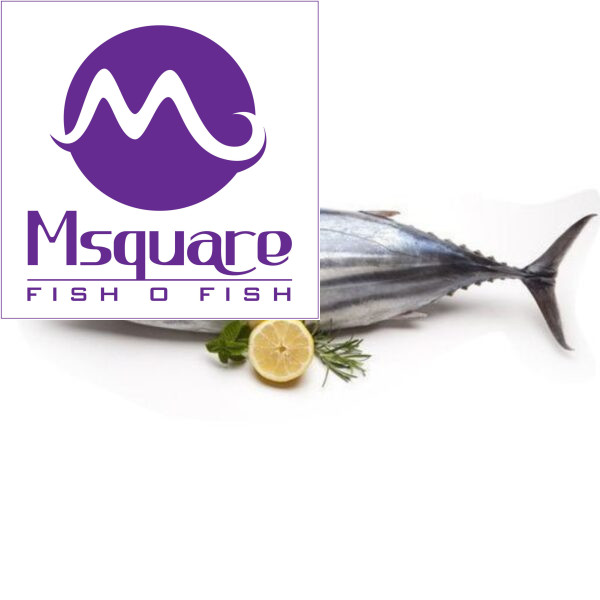 Tuna Fish ( சூரை மீன் )