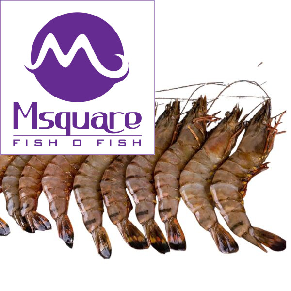 King Prawn (இறால் பெருசு)