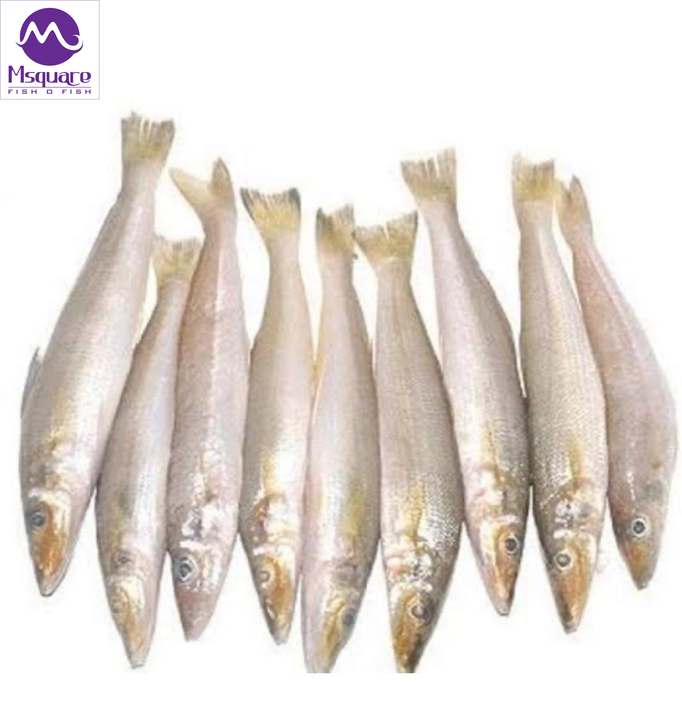 Untitled (2188 x 2300 px) (2)