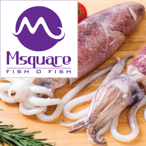 Squid ( கணவாய் )