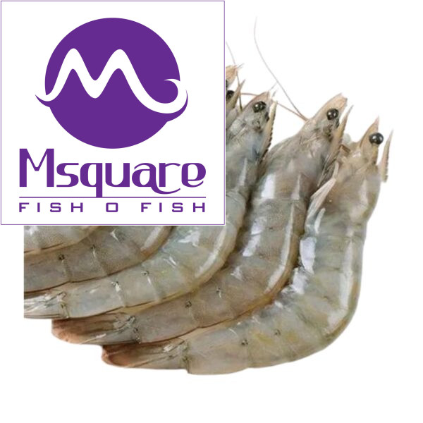 Vannamei Prawn (Farmed) -(வன்னாமீ இறால்)